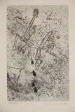 Composition, Droites libérées (poème de Henri Michaud) by Roberto Matta, Lithographie, sold Apr 2023