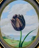 Tulipe by Fulco di Verdura, Gouache à vue ovale, sold Jun 2023