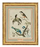 Oiseaux sur une branche by Gerrit van Den Heuvel, 1769, Aquarelle et encre sur papier, sold Oct 2025