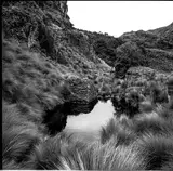 Parc de Cajas, Cordillère des Andes, Equateur by José Nicolas, 2020, Tirage argentique, légendé et signé au dos par le photographe, sold Feb 2025