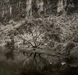 Parc national de Cajas, Equateur by José Nicolas, 2000, Tirage argentique, légendé et signé au dos par le photographe, sold Feb 2025