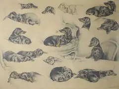 Etude de teckels by Xavier de Poret, Lithographie signée en bas à droite et numérotée, sold Dec 2016