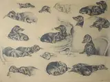 Etude de teckels by Xavier de Poret, Lithographie signée en bas à droite et numérotée, sold Dec 2016