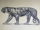 Tigre marchant by Paul Jouve, Lithographie numérotée, sold Nov 2016