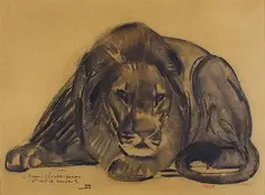 Le lion couché by Paul Jouve, Lavis d'encre et aquarelle signé situé «Le Caire» et daté «34» en bas à gauche ainsi que d, sold Nov 2016