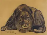 Le lion couché by Paul Jouve, Lavis d'encre et aquarelle signé situé «Le Caire» et daté «34» en bas à gauche ainsi que d, sold Nov 2016