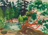 Arbutus - Deep Cove by Paul Rand, oil on canvas board, sold Jun 2023