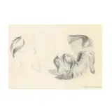 Pekingese Dogs at Play by Lilian Swann Saarinen, Graphite on paper, sold Jul 2025