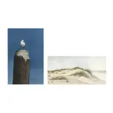 Sand Dunes / Lone Gull (Two Works) by Cotton Ketchie, Each a watercolor on paper, sold Jun 2025