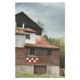 Purina by Cotton Ketchie, Watercolor on paper, sold Jun 2025