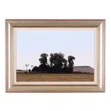 Blue Gum Tree Farm by Peter Bonney, Oil on masonite, sold Jun 2025