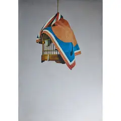La gabbia - c. 1970 by Michelangelo Pistoletto, Sérigraphie sur inox, sold Dec 2022
