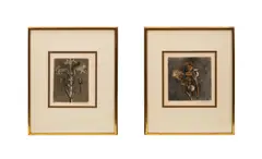Untitled - Pair of Floral Etchings by Brigitte Coudrain, circa 1970s, etching and aquatint, sold Feb 2026