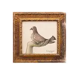 Untitled - Pigeon in Hand - 1962 by Keith Ingermann, oil on masonite, sold Feb 2026