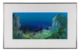 Fiji Fish II" - late 20th century by Bob Rankin, acrylic on paper, sold Feb 2026
