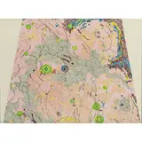 Untitled by Nancy Graves, Lithograph based on Geologic Maps of Lunar Orbits and Apollo Landing Sites," 1972, sold Mar 2022