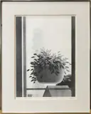 Untitled (still life) by Robert Kipniss, lithograph, sold Mar 2022