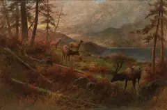 Elk Browsing, 1888 by Frederick Arthur Verner, 1888, oil on canvas, sold May 2026