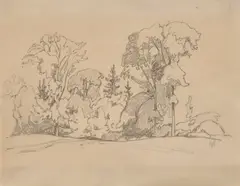 Untitled (Trees) by A. J. Casson, graphite, sold May 2026