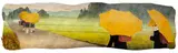 Buttercups by Daniel Kelly, 2008, Mixed Media on Nepali Paper with Straw, sold Jan 2024