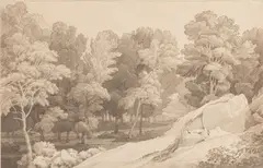 Peamore Wood near Exeter - Pen by John White Abbot, Wood near Exeter -Pen, ink and grey wash -24 x37cm, sold Oct 2025
