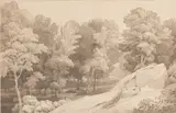 Peamore Wood near Exeter - Pen by John White Abbot, Wood near Exeter -Pen, ink and grey wash -24 x37cm, sold Oct 2025