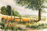 Untitled by Terry Harrison, Watercolour -37 x, sold Oct 2025