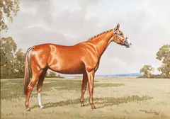 A chestnut hunter in a landscape - Watercolour - 25 by Ninetta Butterworth, 1949, Watercolour, sold Oct 2025
