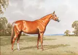 A chestnut hunter in a landscape - Watercolour - 25 by Ninetta Butterworth, 1949, Watercolour, sold Oct 2025