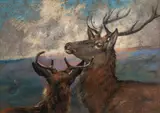 Study of red deer - Pastel - 24 by Alfred William Strutt, 1870, Pastel, sold Oct 2025