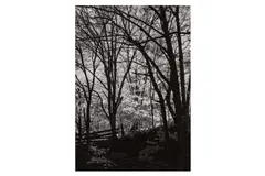 Untitled by George Tice, print, offered Aug 2024