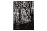 Untitled by George Tice, print, offered Aug 2024