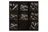 Untitled by Terry O'Neill, Silver gelatin print contact sheet, image size, offered Aug 2024