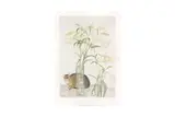 Untitled by Elizabeth Blackadder, Watercolour Facsimiles Limited, printed by Westerham Press Limited sheet, offered Jul 2024