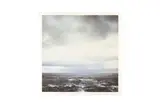 Untitled by Gerhard Richter, print, offered Jul 2024