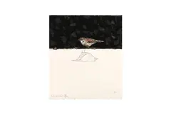 Untitled by Charming Baker, Inkjet prints with a screenprint varnish overlay and hand drawn birds in graphite on, offered Jul 2024