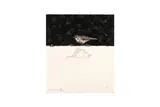 Untitled by Charming Baker, Inkjet prints with a screenprint varnish overlay and hand drawn birds in graphite on, offered Jul 2024
