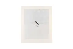 Untitled by Charming Baker, pencil, offered Jul 2024