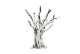 Untitled by Ai Weiwei, sculpture, offered Jul 2024