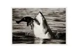 Untitled by David Yarrow, ink, offered Jul 2024