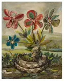 Untitled by Humphrey Spender, oil on canvas, offered Jun 2024