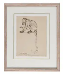 Monkey by Théophile Steinlen, Ink, sold Nov 2023