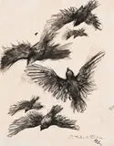 Birds in flight by Pavel Tchelitchew, Ink and wash, sold Oct 2023