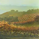 Piemonte - rows of vines at montelupo albese by Alan Cotton, Oil on canvas, sold Oct 2023