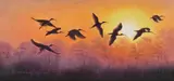 Ibis at sunset by Kim Brooks, Oil on canvas, offered Oct 2023