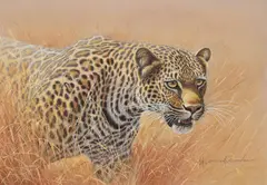 Leopard alert by Kim Brooks, 1992, Watercolour, offered Oct 2023