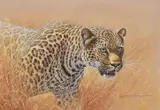 Leopard alert by Kim Brooks, 1992, Watercolour, offered Oct 2023