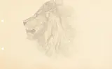Head of a lion by Austin Osman Spare, Pencil, sold Oct 2023