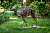 Camel by Hamish Mackie, 2013, Bronze, offered Oct 2023