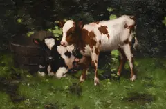 Calves by David Gauld, Oil on canvas, offered Oct 2023